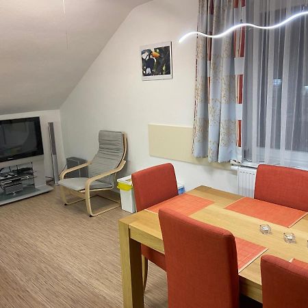 Apartman 101 Horní Maršov 外观 照片